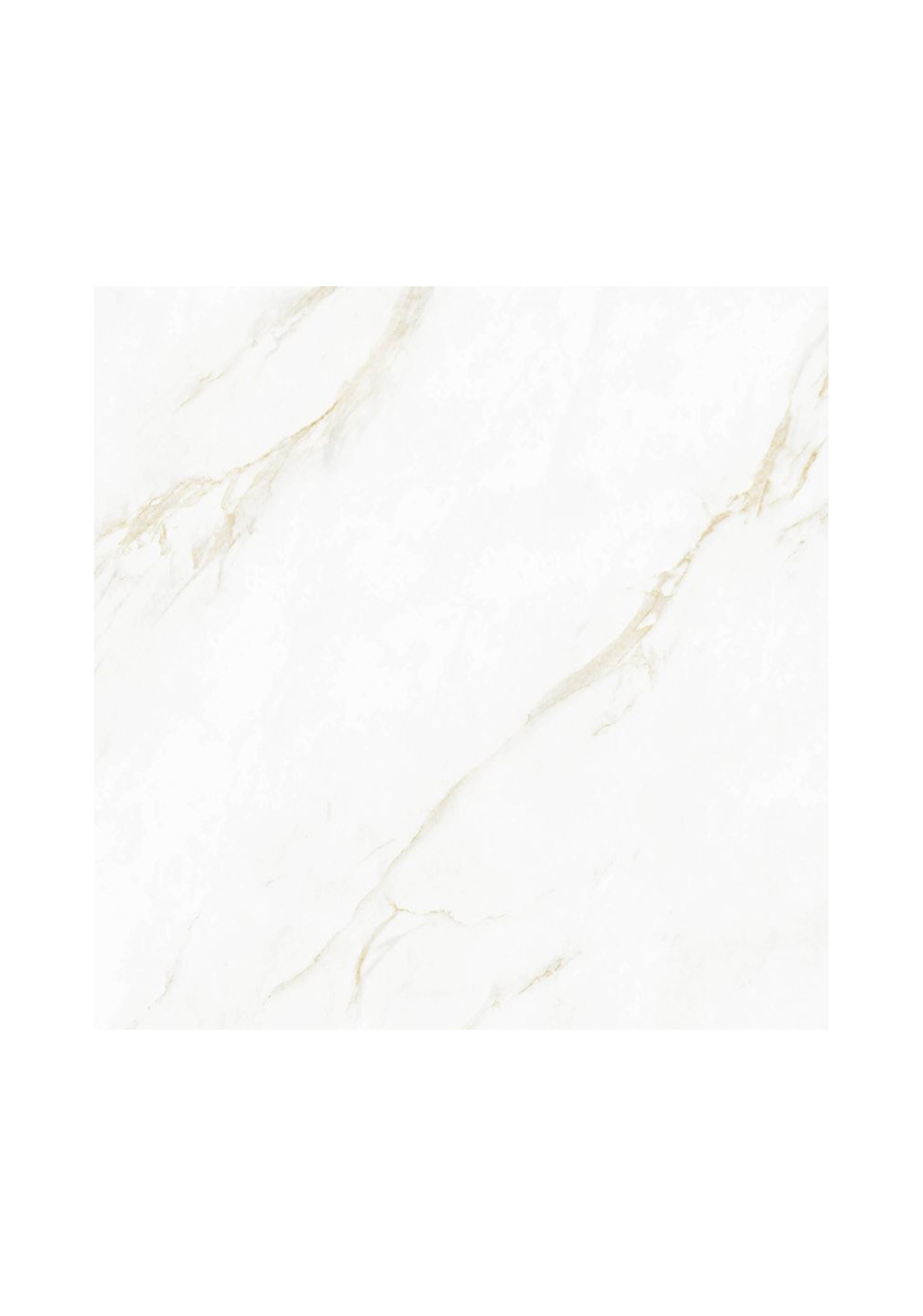 CALACATTA-GOLD–DETAILS