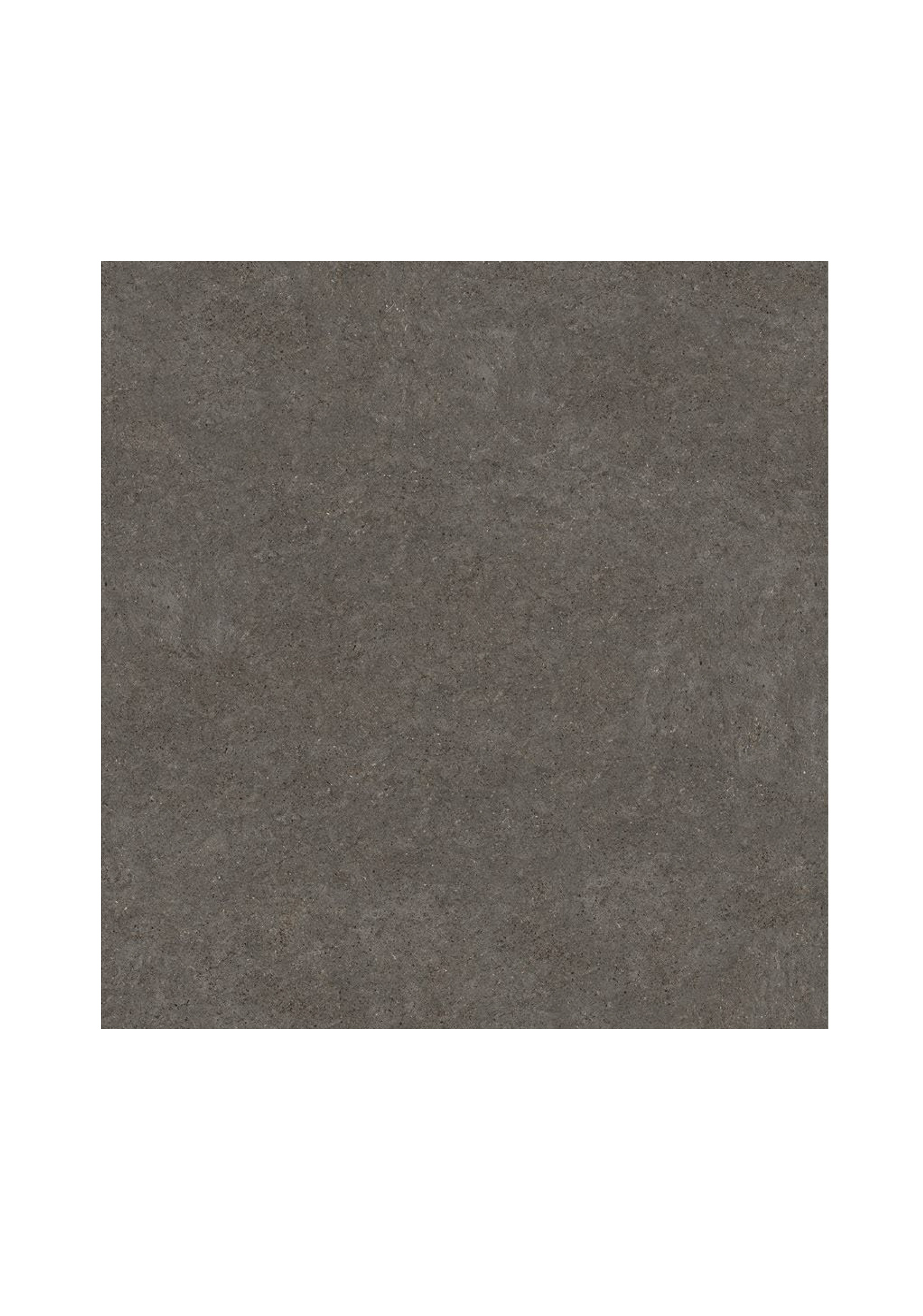 FUSION-MARRONE-DETIAO