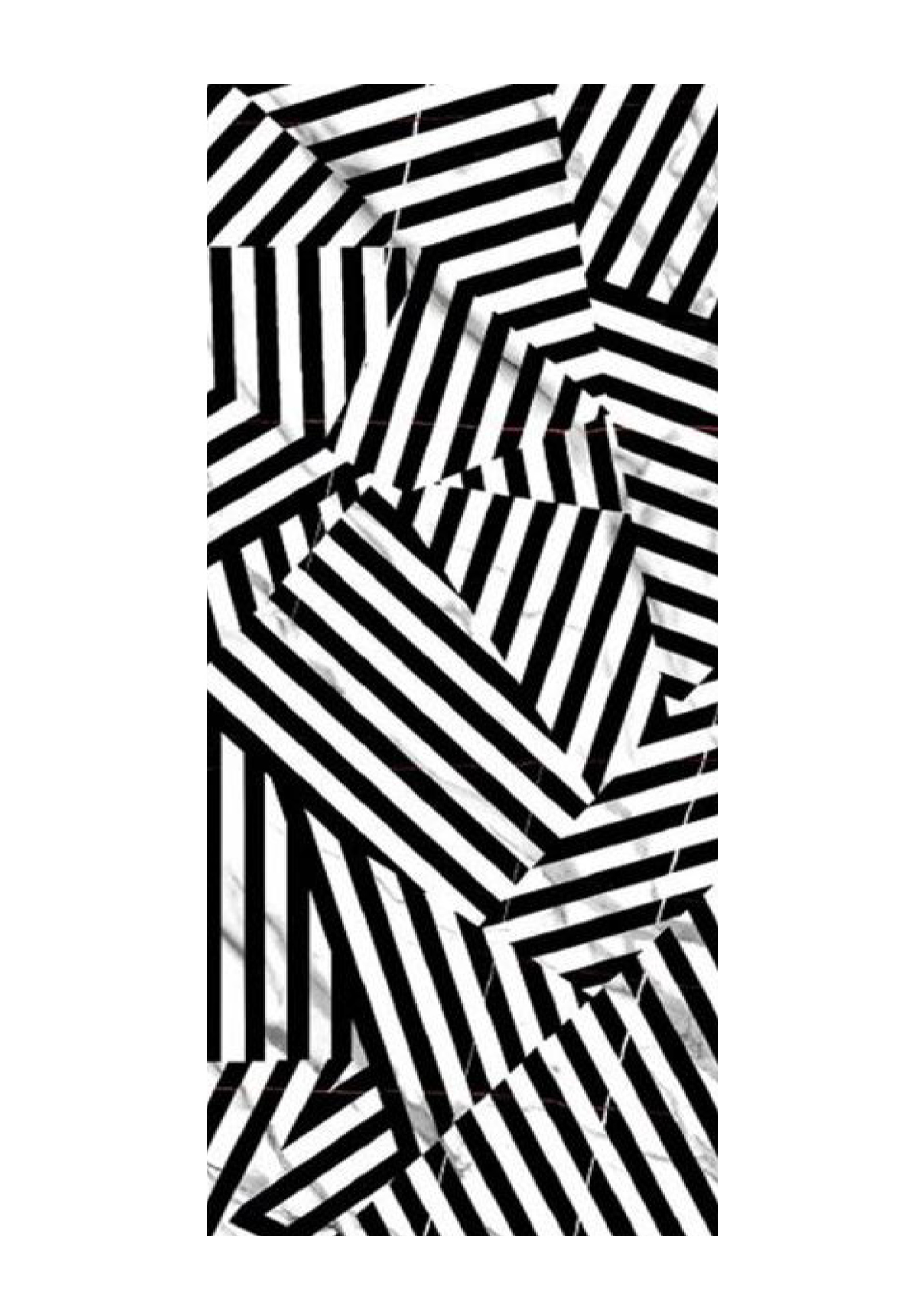 ZEBRA-4
